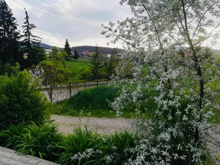 Pensiunea Valurile Bistritei Ватра-Дорней Экстерьер фото